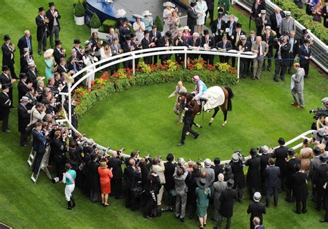 horse racing outsider of the day|horse racing tips winners enclosure.